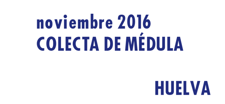 Colectas de médula en Huelva. Noviembre 2016