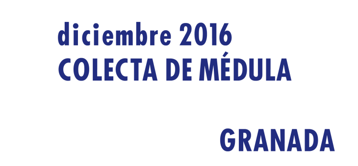 Registrarte como donantes de médula en Granada en Diciembre 2016