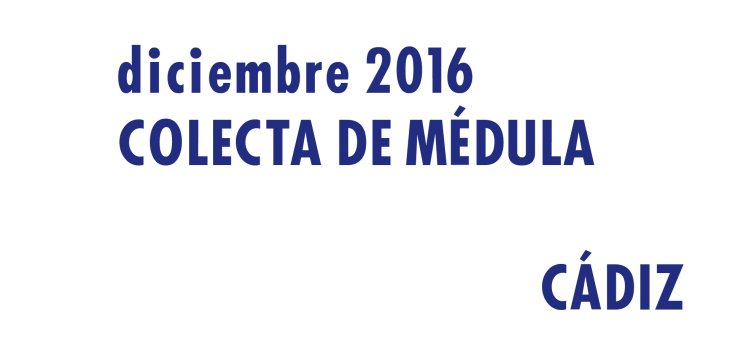 Registrarte como donantes de médula en Cádiz en Diciembre 2016