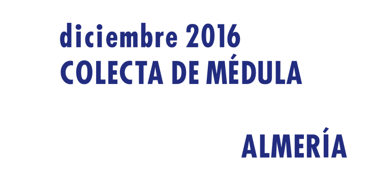 Registrarte como donantes de médula en Almería en Diciembre 2016