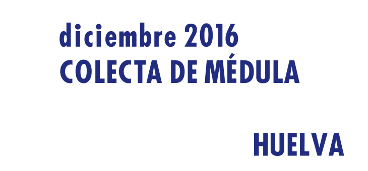 Registrarte como donantes de médula en Huelva en Diciembre 2016