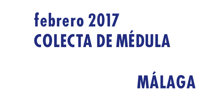 Registrarte como donante de médula en Málaga en Febrero 2017