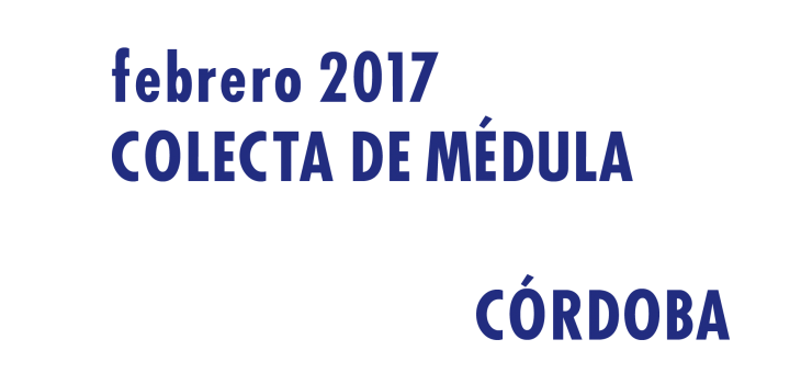 Registrarte como donante de médula en Córdoba en Febrero 2017