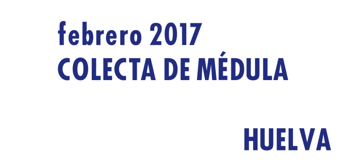 Registrarte como donante de médula en Huelva en Febrero 2017