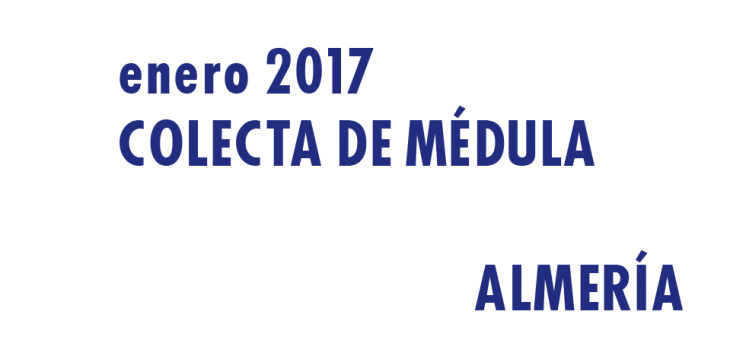 Registrarte como donante de médula en Almería en Enero 2017