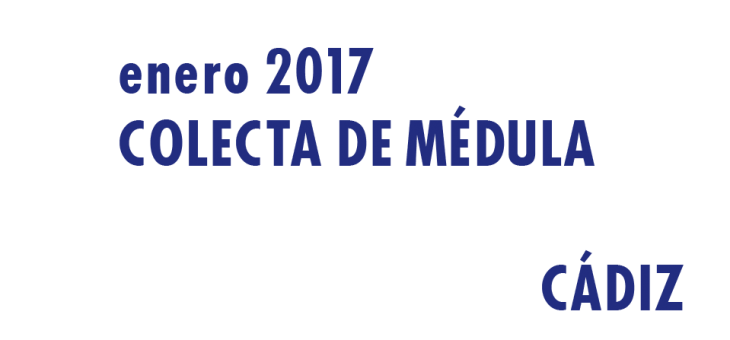 Registrarte como donante de médula en Cádiz en Enero 2017