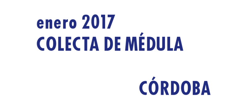 Registrarte como donante de médula en Córdoba en Enero 2017