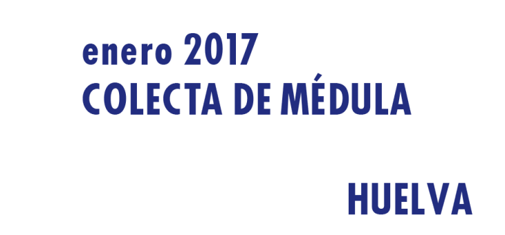 Registrarte como donante de médula en Huelva en Enero 2017