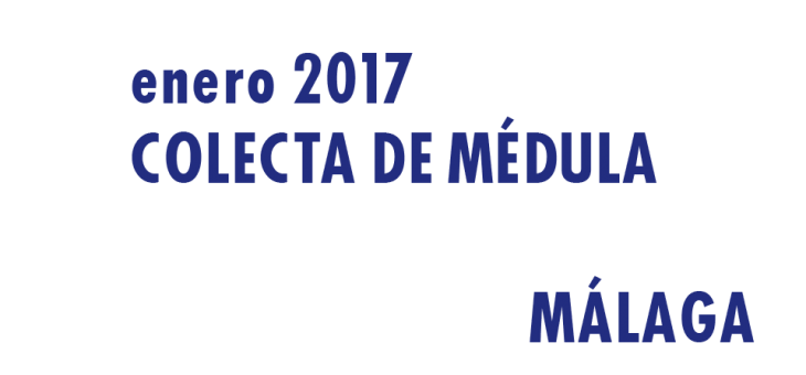 Registrarte como donante de médula en Málaga en Enero 2017