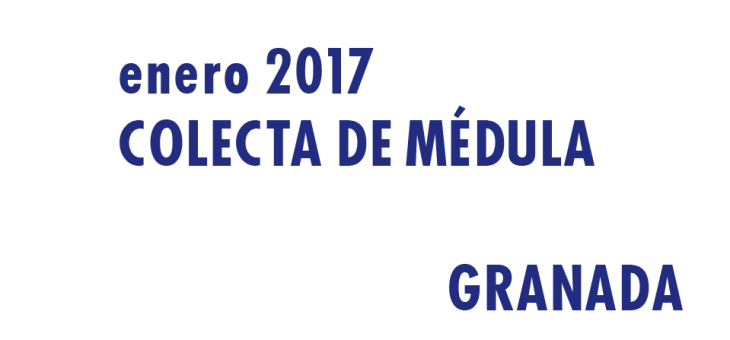 Registrarte como donante de médula en Granada en Enero 2017