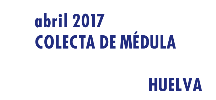 Registrarte como donante de médula en Huelva en Abril 2017