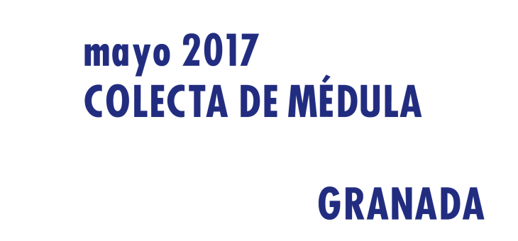 Registrarte como donante de médula en Granada en Mayo 2017