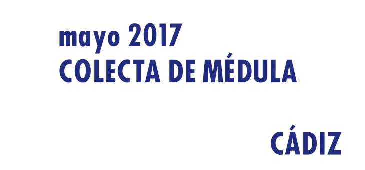 Registrarte como donante de médula en Cádiz en Mayo 2017