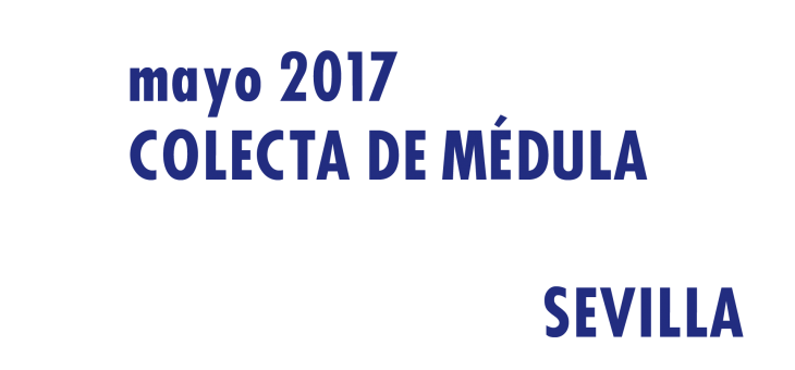 Registrarte como donante de médula en Sevilla en Mayo 2017
