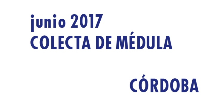 Registrarte como donante de médula en Córdoba en Junio 2017