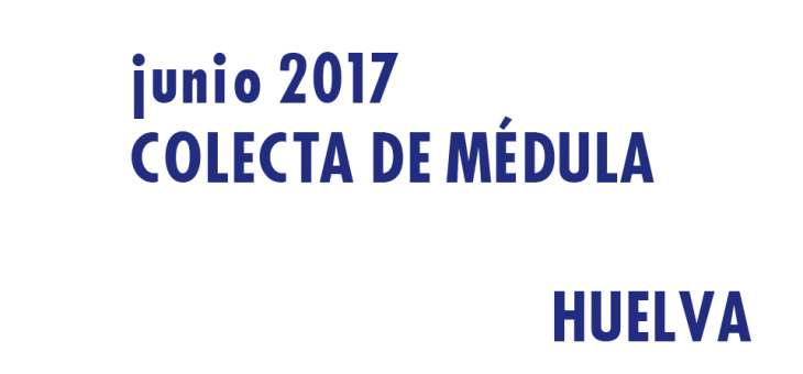 Registrarte como donante de médula en Huelva en Junio 2017