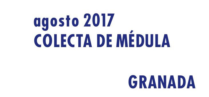 Registrarte como donante de médula en Granada en Agosto 2017