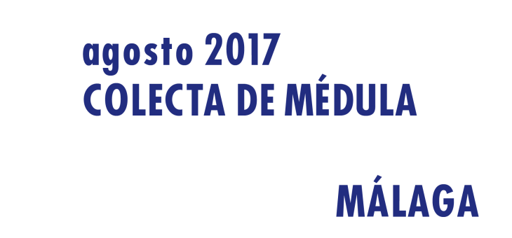 Registrarte como donante de médula en Málaga en Agosto 2017