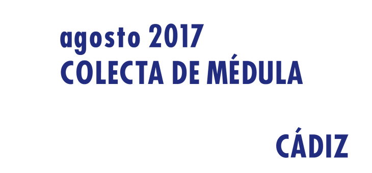 Registrarte como donante de médula en Cádiz en Agosto 2017