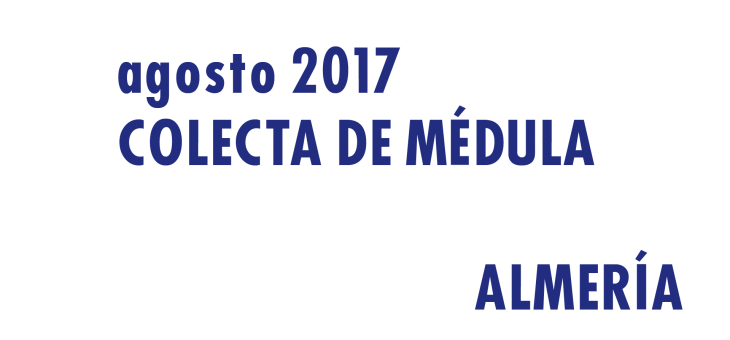 Registrarte como donante de médula en Almería en Agosto 2017