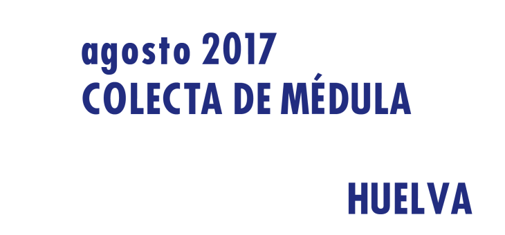Registrarte como donante de médula en Huelva en Agosto 2017