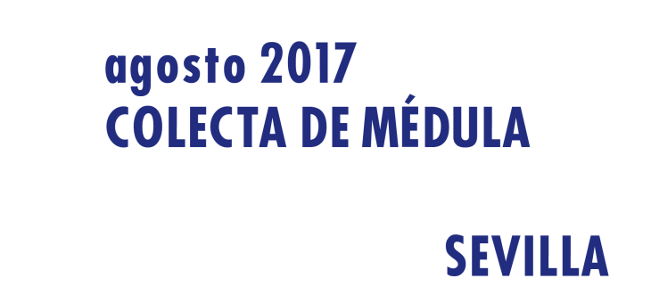 Registrarte como donante de médula en Sevilla en Agosto 2017