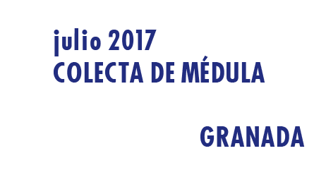 Registrarte como donante de médula en Granada en Julio 2017