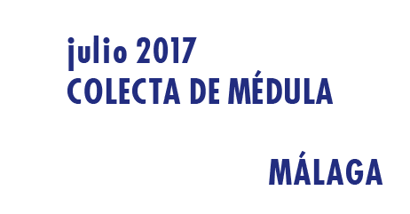 Registrarte como donante de médula en Málaga en Julio 2017