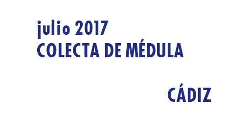 Registrarte como donante de médula en Cádiz en Julio 2017