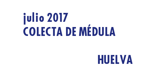 Registrarte como donante de médula en Huelva en Julio 2017