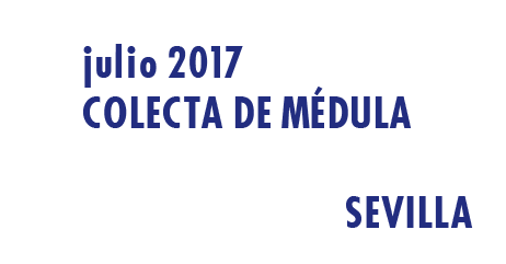 Registrarte como donante de médula en Sevilla en Julio 2017