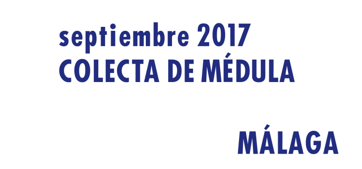 Registrarte como donante de médula en Málaga en Septiembre 2017