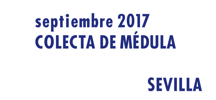 Registrarte como donante de médula en Sevilla en Septiembre 2017